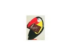 Julius Meinl Retro|Design>Magnet - Tukan